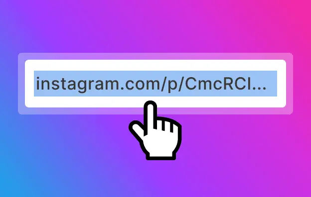 INSTAGRAM Downloader